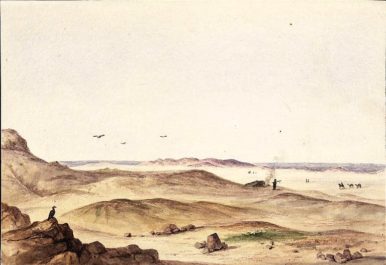محمية الغابة المتحجرة، صورة مرجعية من ويكيميديا كومنز