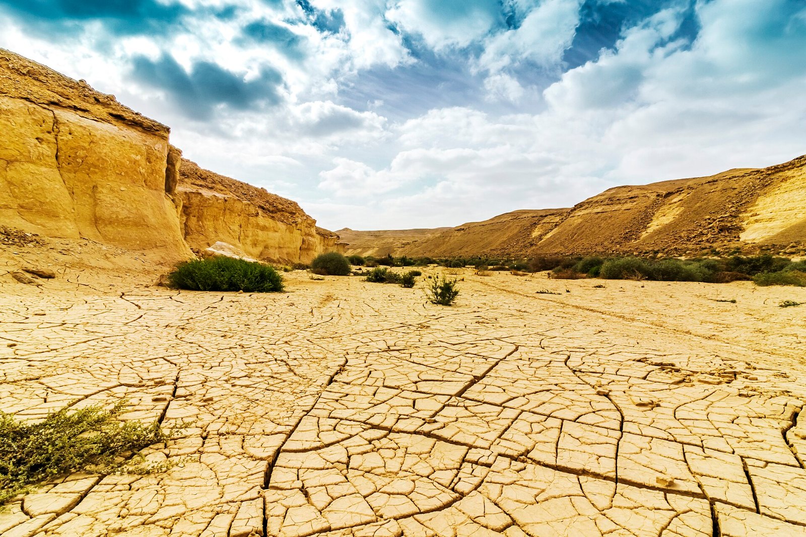 مشهد من محمية وادي دجلة